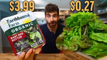 How To Grow Lettuce At Home