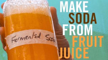 How To Turn Any Fruit Juice Into A Soda With Homemade Natural Probiotics