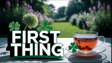 Wake Up to Healthy Herbal Clover Tea Every Morning